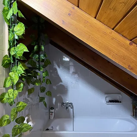 Porfyra Luxury Konukevi